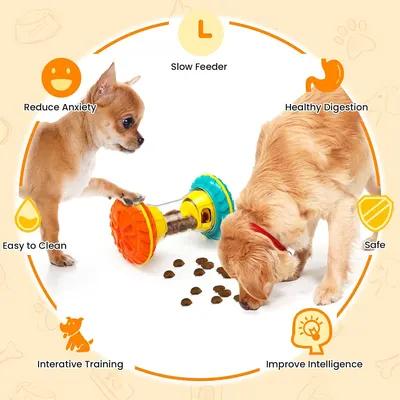 Unlock Playtime with This Interactive Dog Puzzle Toy - Perfect for Smart Dogs and Slow Feeding